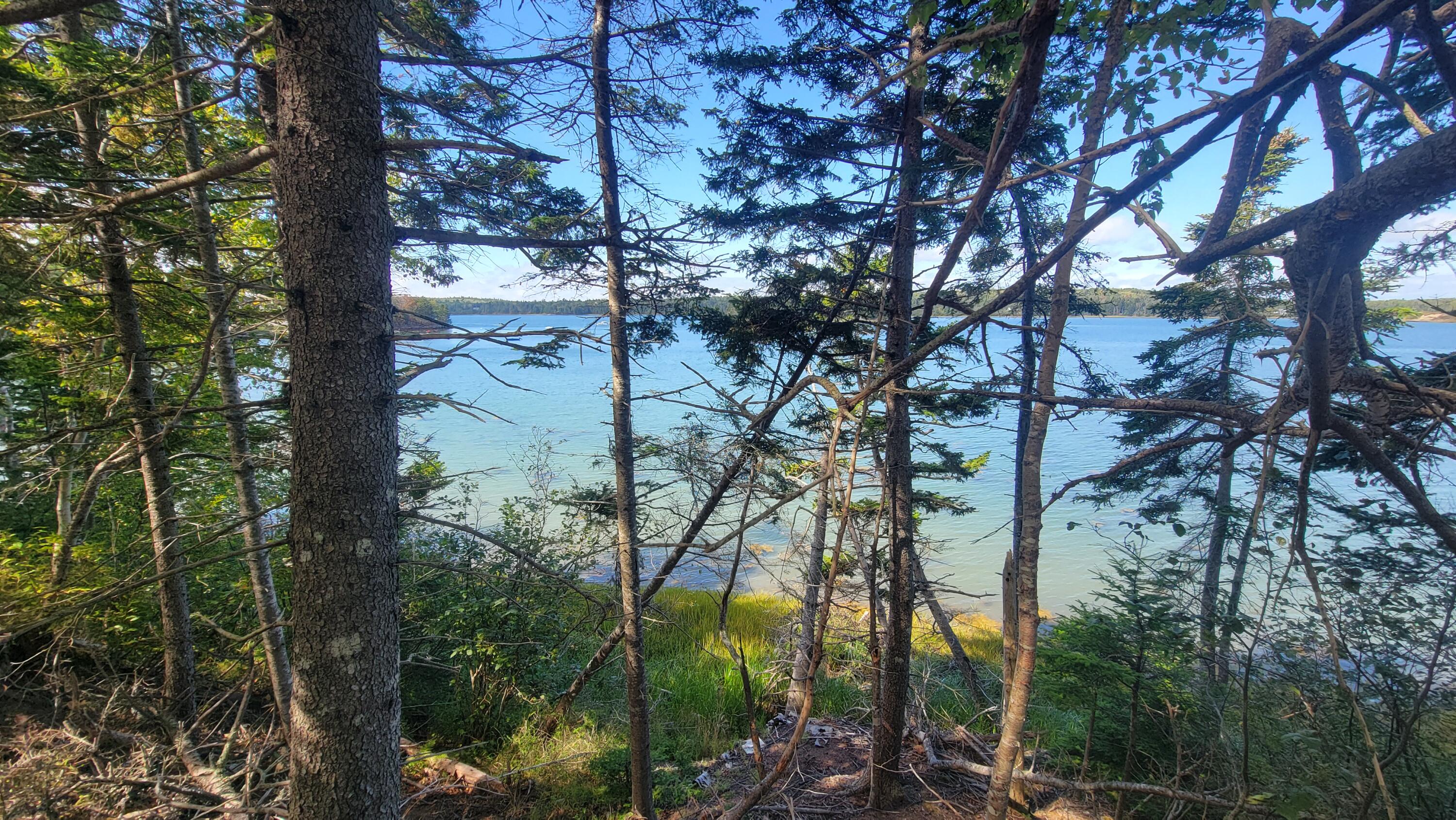 Lot 1 & 5 Evergreen Point Road Jonesboro ME 04648