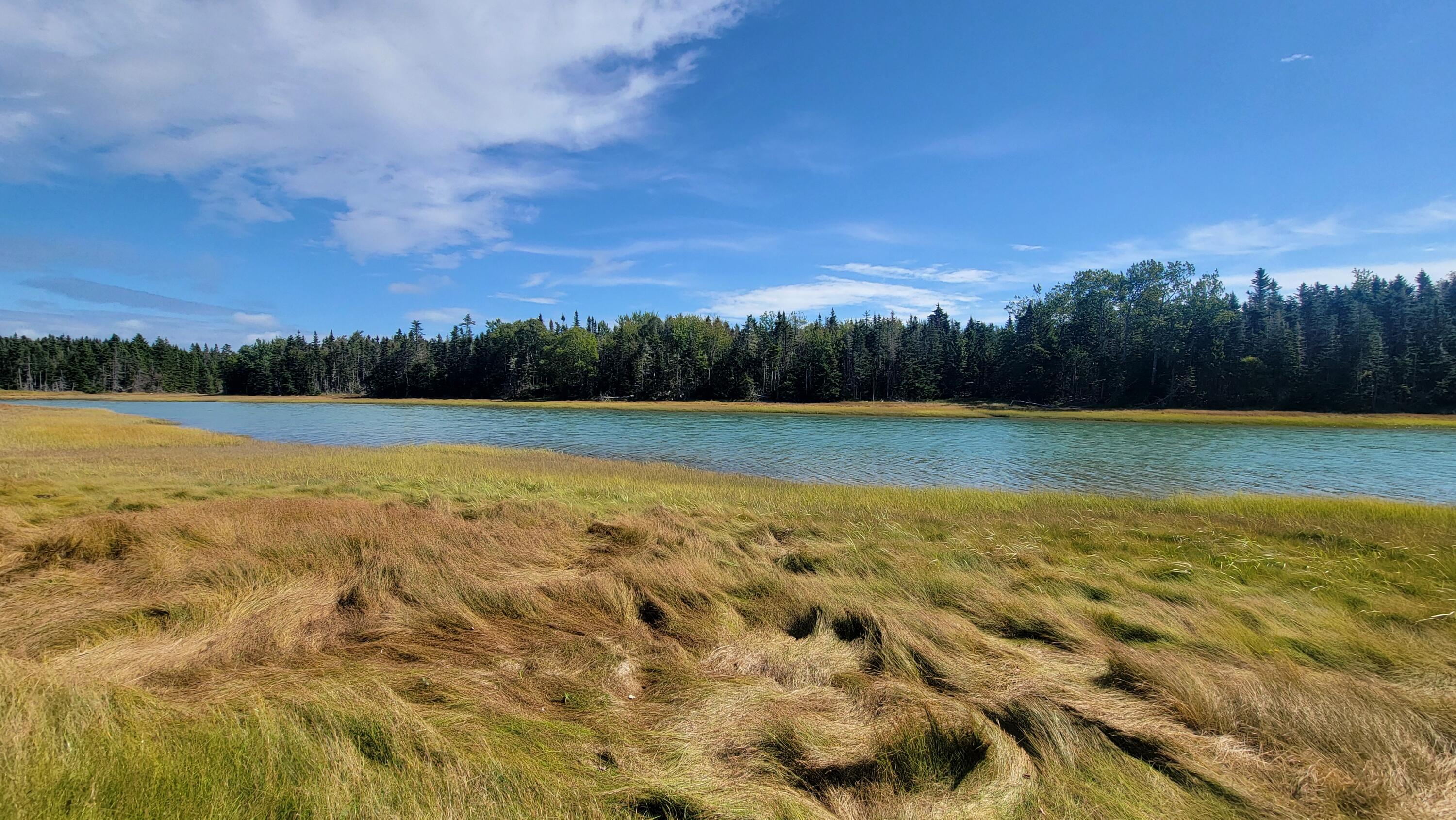 Lot 1 & 5 Evergreen Point Road Jonesboro ME 04648