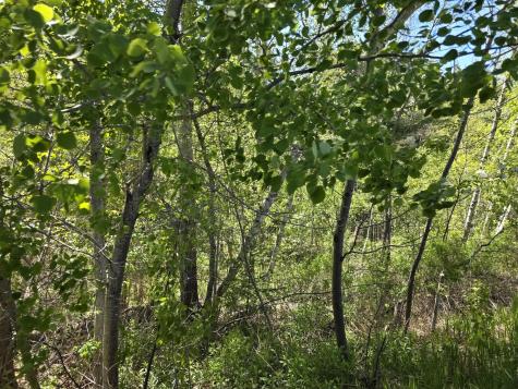 4 Goose River Estates Swanville ME 04915