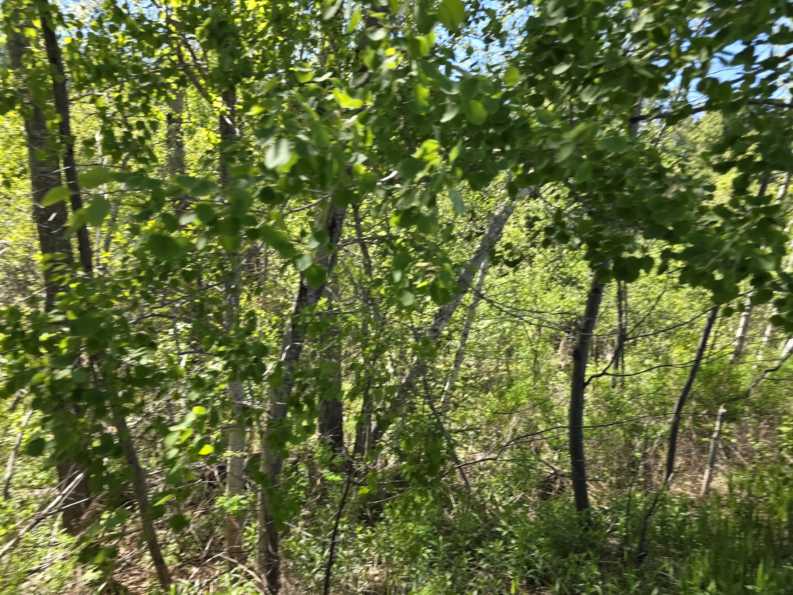 4 Goose River Estates Swanville ME 04915