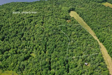 M5 L24 Goosepecker Ridge Montville ME 04941