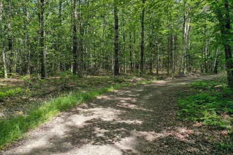 M5 L24 Goosepecker Ridge Montville ME 04941