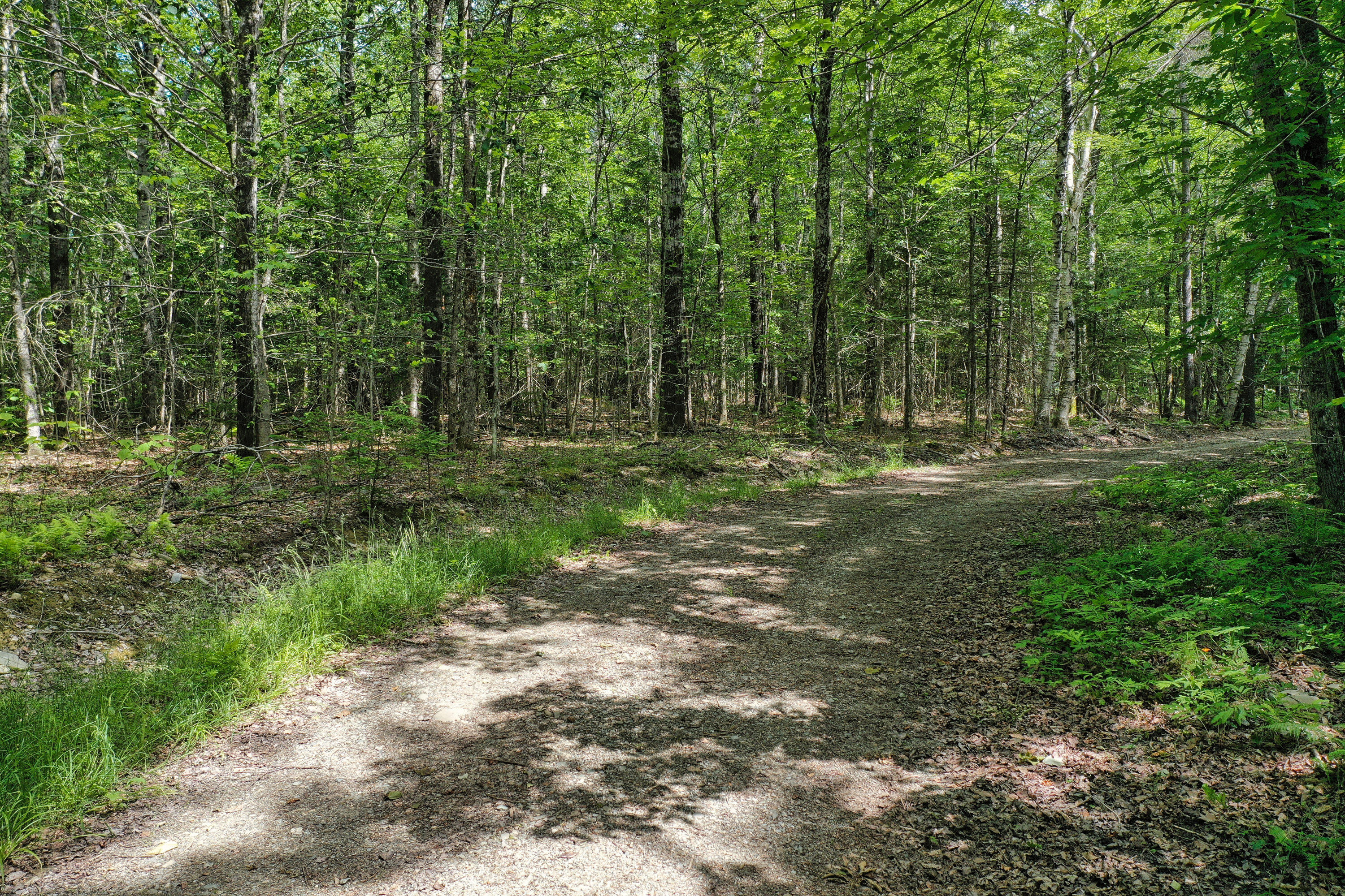 M5 L24 Goosepecker Ridge Montville ME 04941