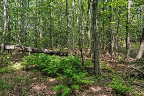 M5 L24 Goosepecker Ridge Montville ME 04941