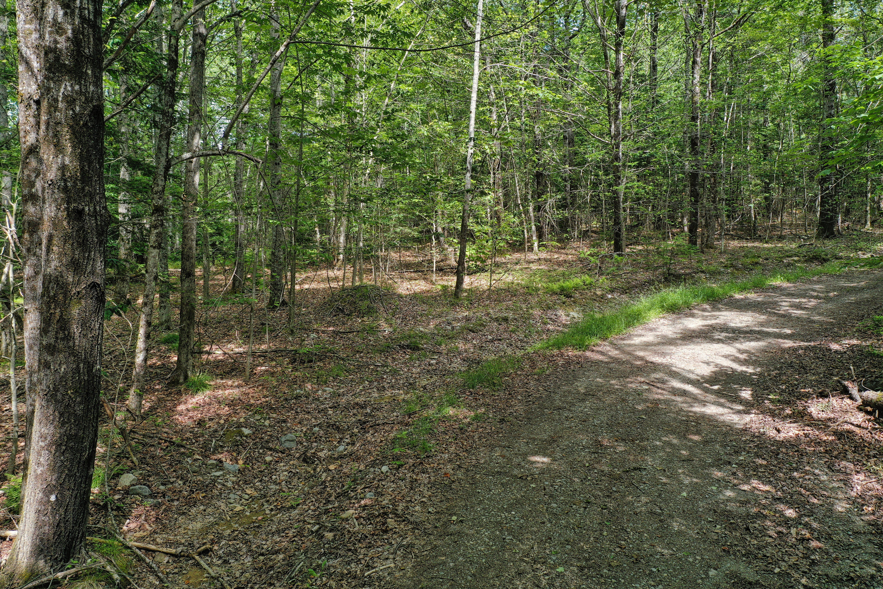 M5 L24 Goosepecker Ridge Montville ME 04941