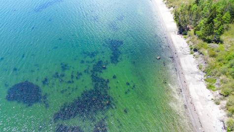 2057 Cutler Road Cutler ME 04626