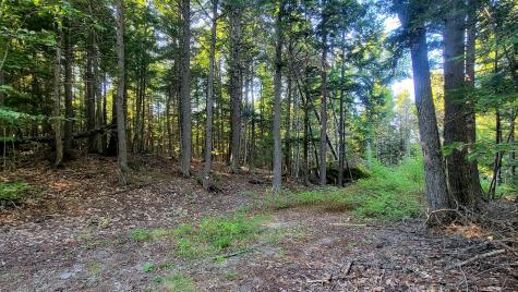 T1R8 Wels Millinocket Lake Millinocket ME 04462