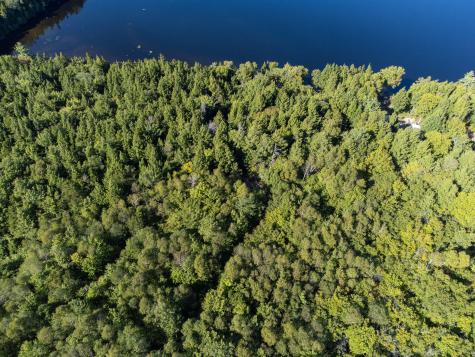 T1R8 Wels Millinocket Lake Millinocket ME 04462