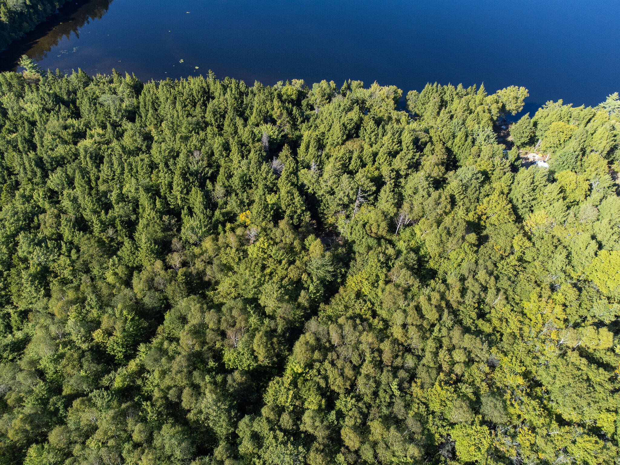 T1R8 Wels Millinocket Lake Millinocket ME 04462