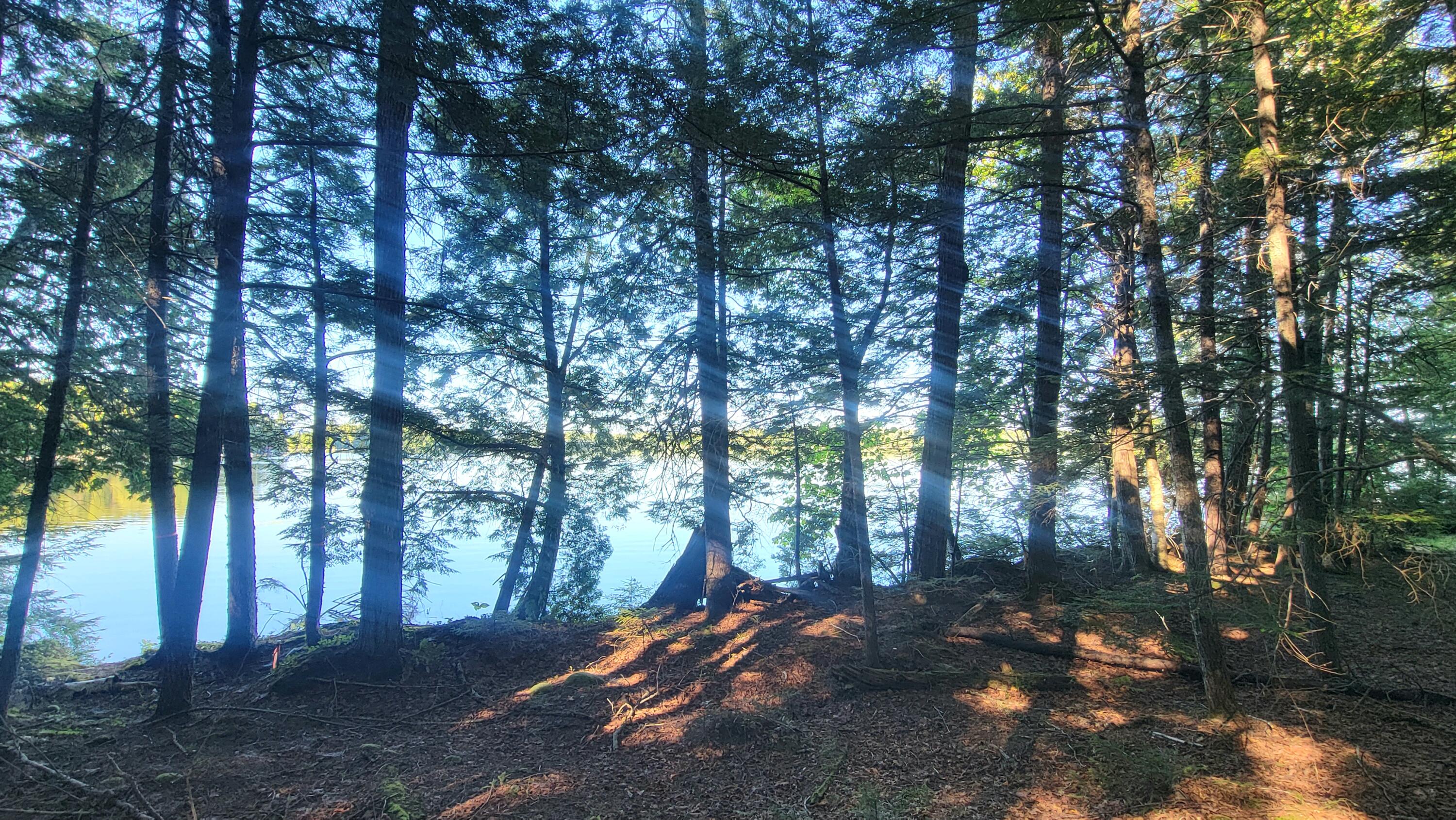 T1R8 Wels Millinocket Lake Millinocket ME 04462