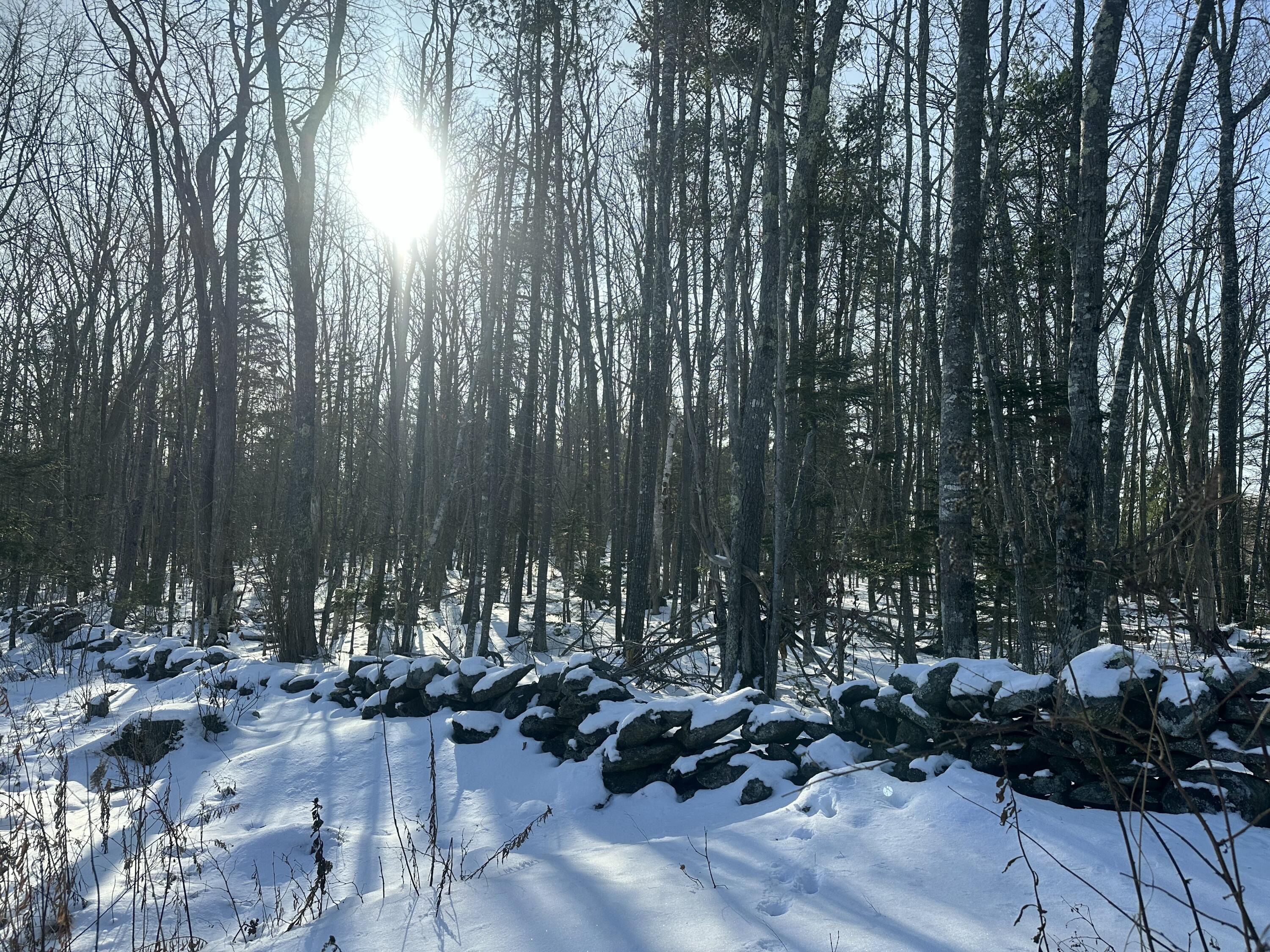 3 Sea Light Lane Rockport ME 04856