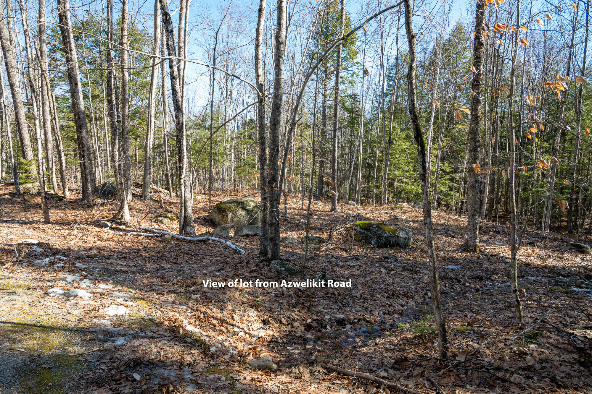 Lot 11-3 Azwelikit Road Casco ME 04015