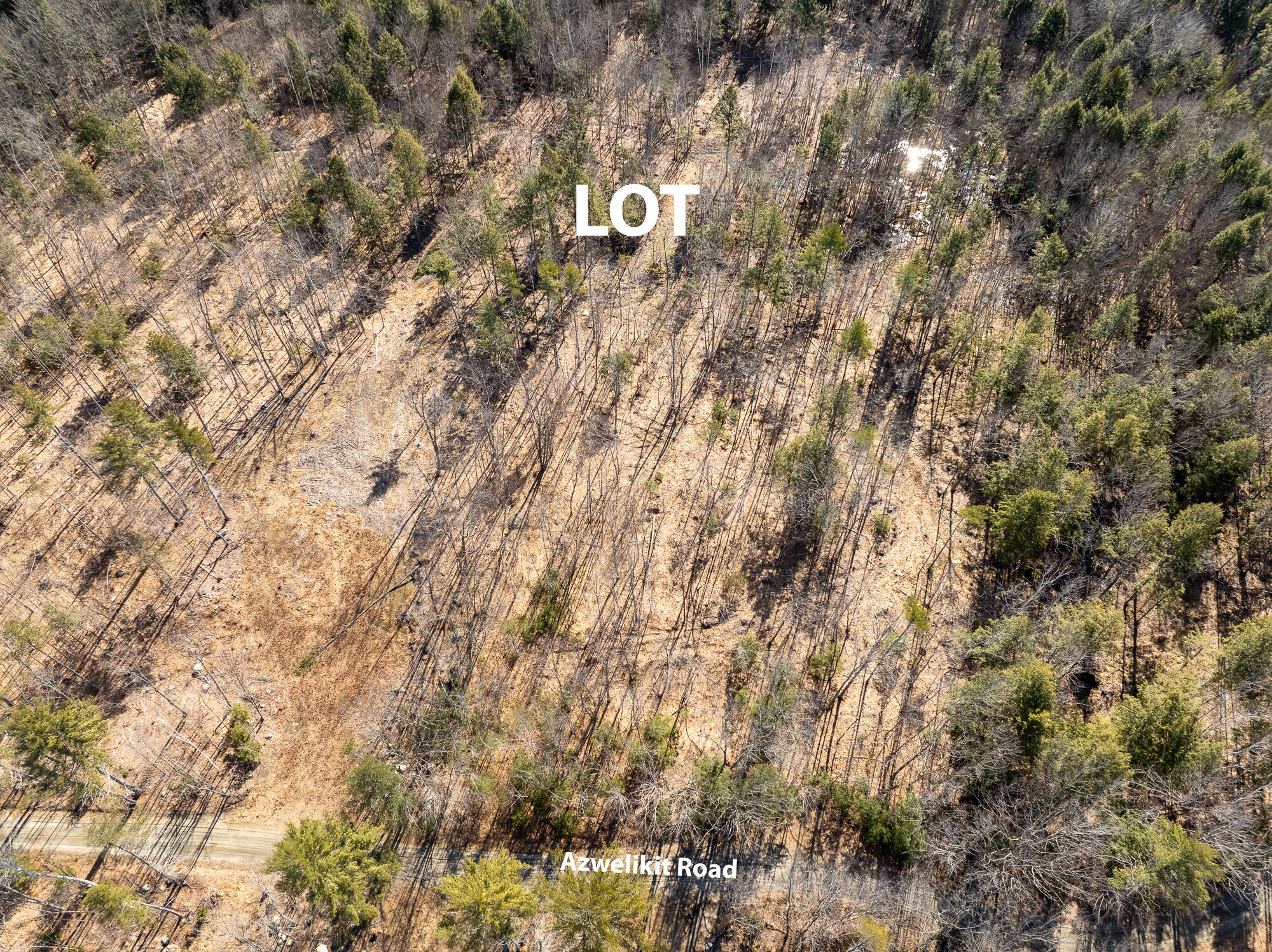 Lot 11-3 Azwelikit Road Casco ME 04015