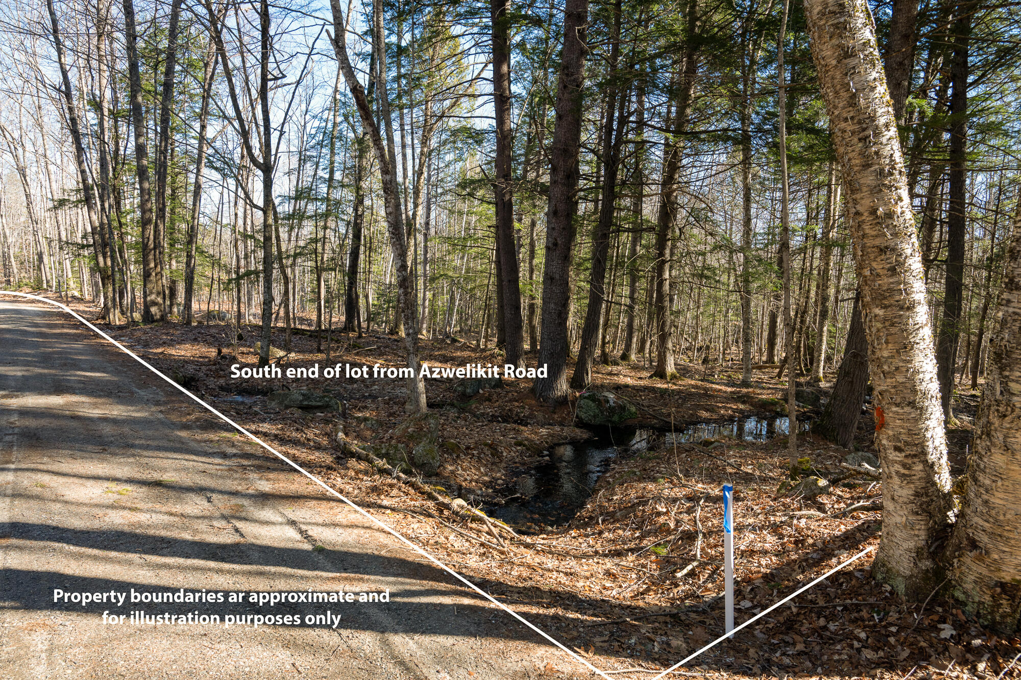 Lot 11-3 Azwelikit Road Casco ME 04015