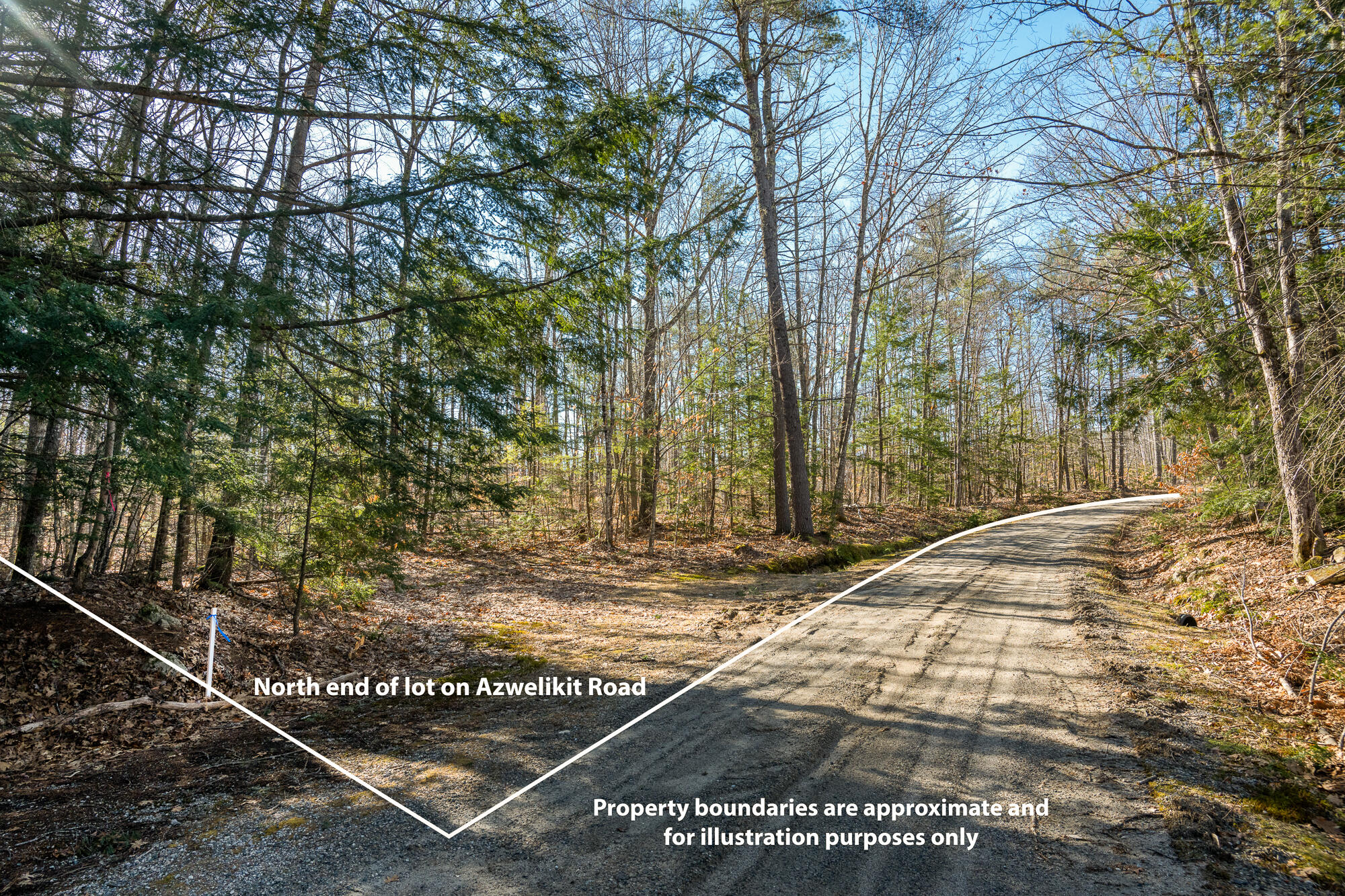 Lot 11-3 Azwelikit Road Casco ME 04015