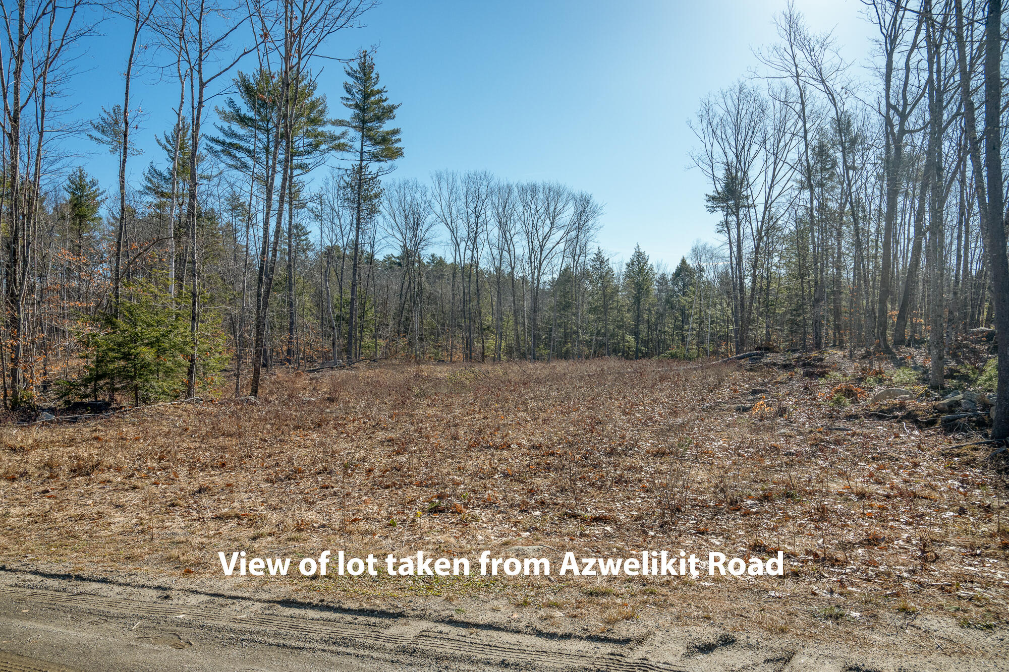 Lot 11-3 Azwelikit Road Casco ME 04015