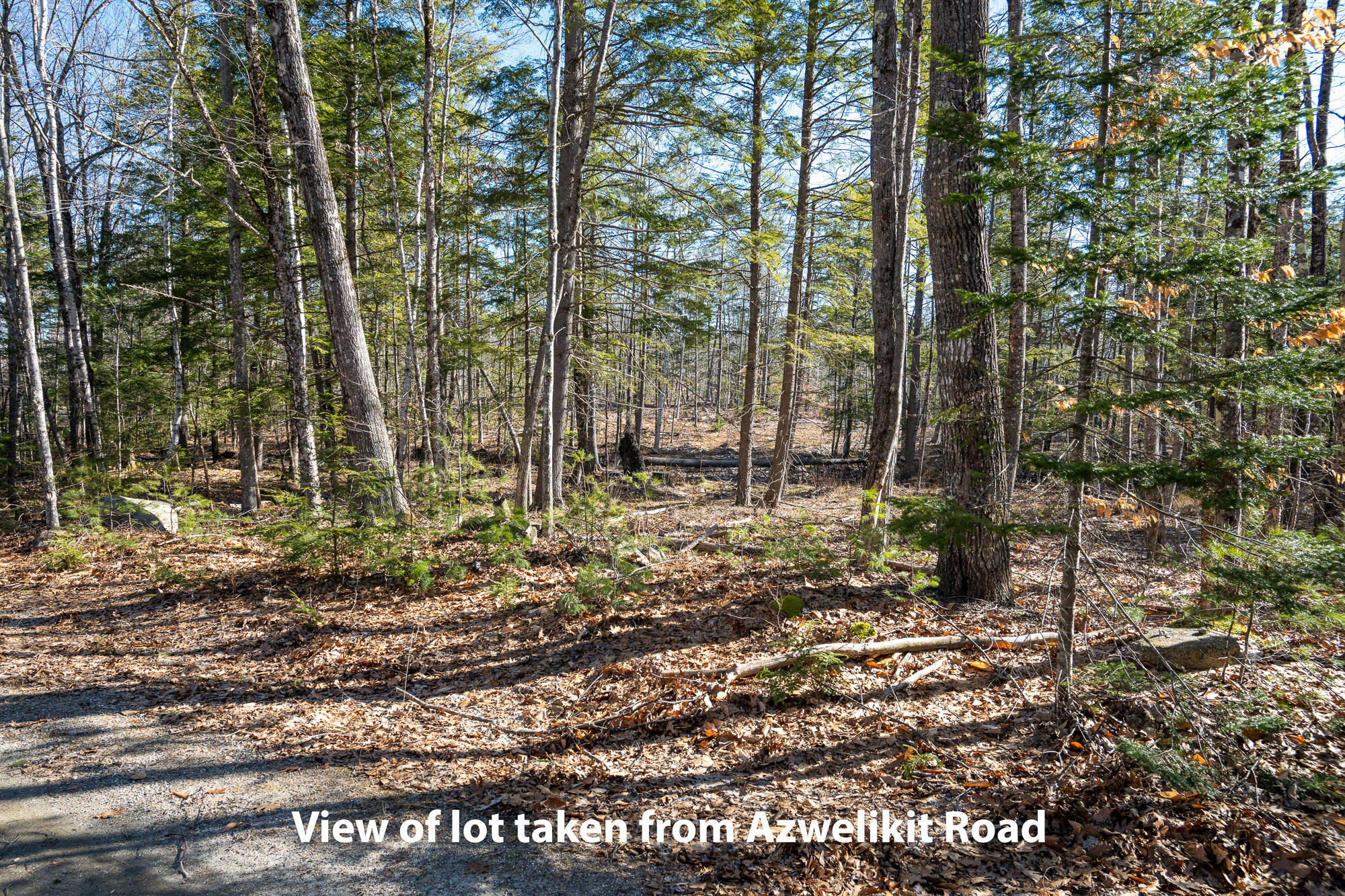 Lot 11-3 Azwelikit Road Casco ME 04015