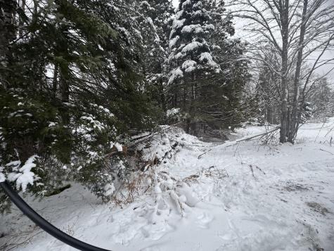 291 New Sweden Road New Sweden ME 04762