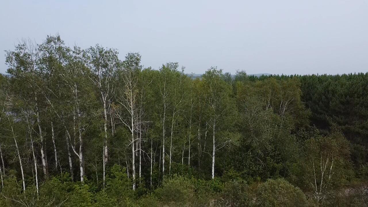 M48L15/16 Us Route 1 Grand Isle ME 04746