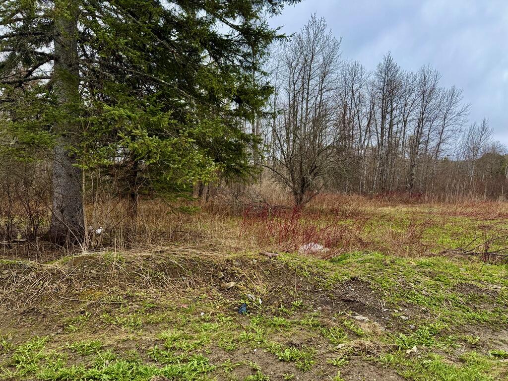 12 Elliott Road Westfield ME 04787