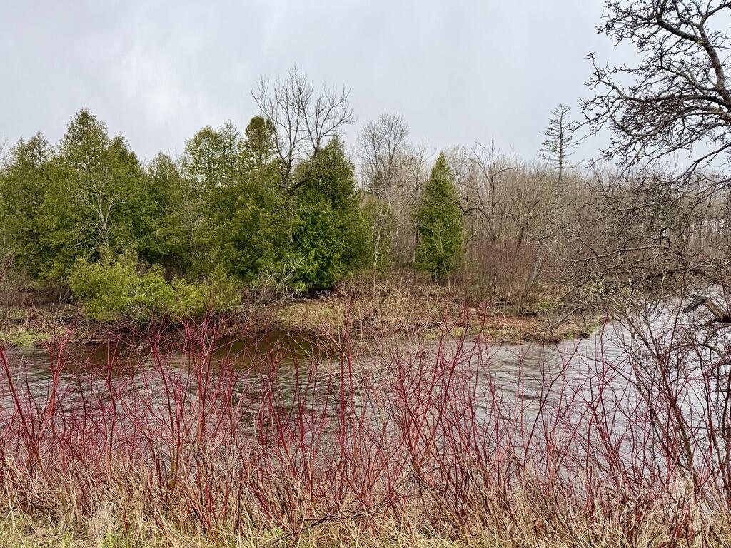 12 Elliott Road Westfield ME 04787
