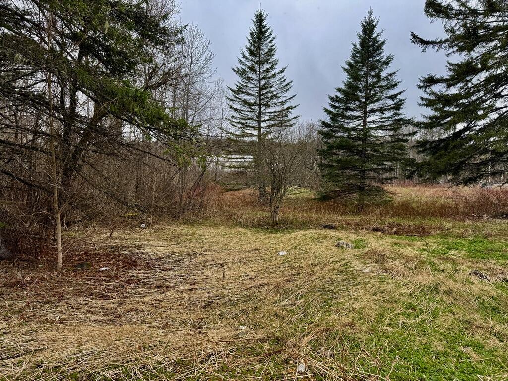 12 Elliott Road Westfield ME 04787