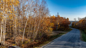 Lot 28 Grand View Drive Dedham ME 04429