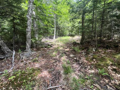 Tbd Marks Mountain Way Dedham ME 04429