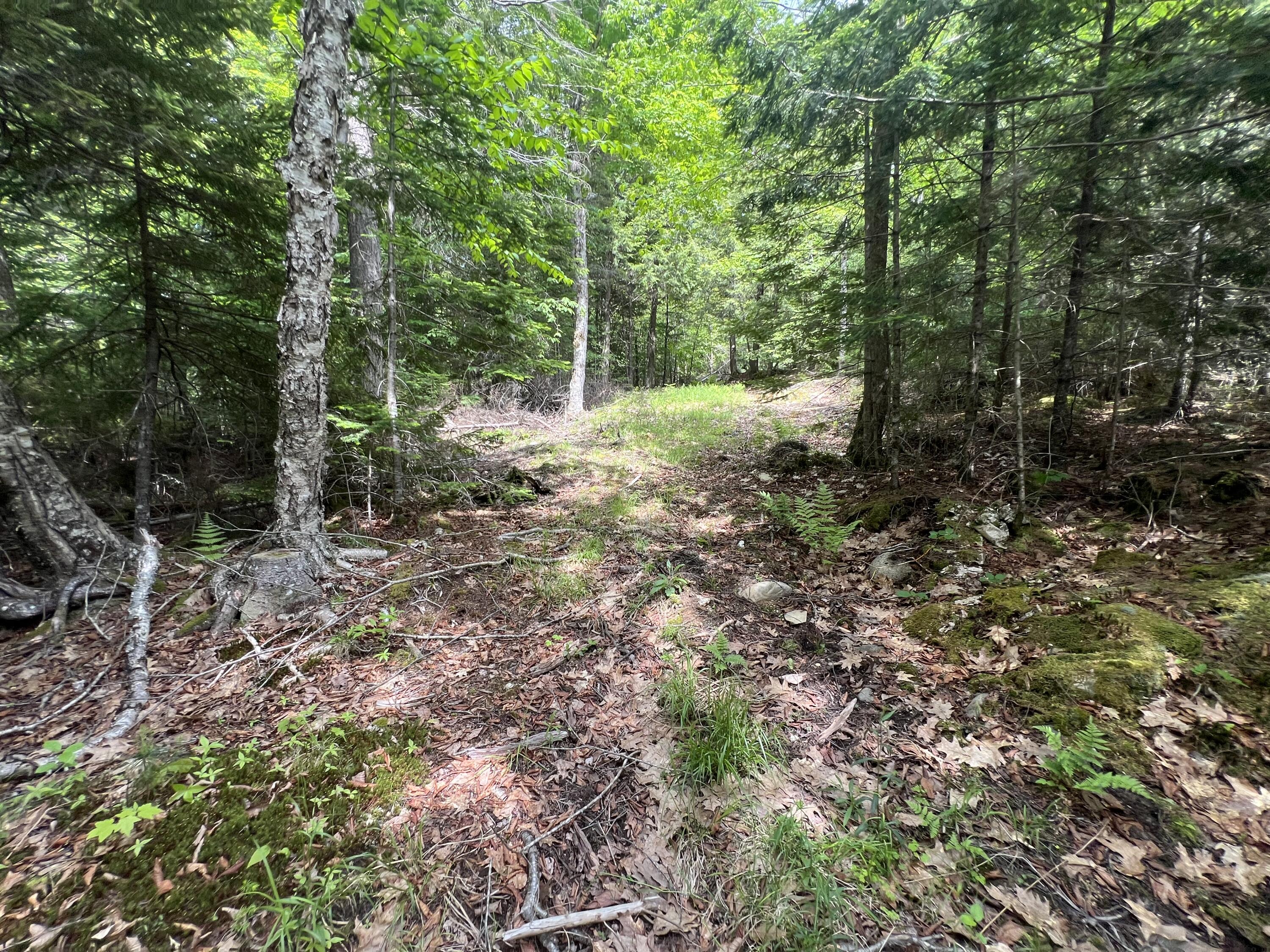 Tbd Marks Mountain Way Dedham ME 04429