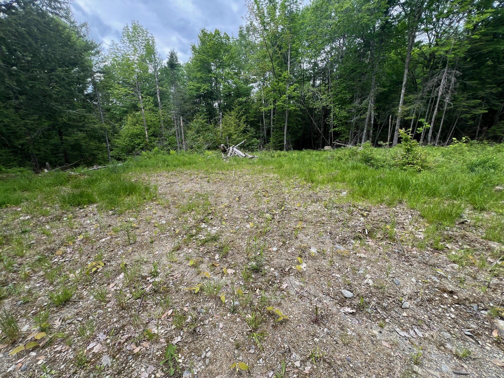 Tbd Marks Mountain Way Dedham ME 04429