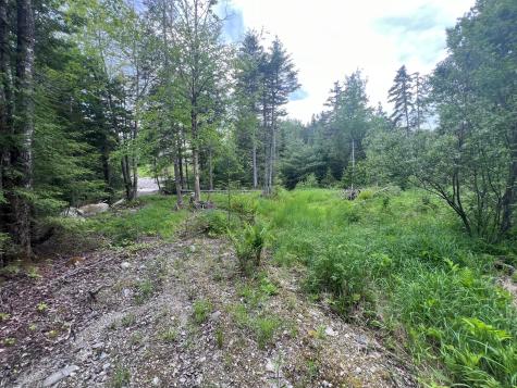 Tbd Marks Mountain Way Dedham ME 04429