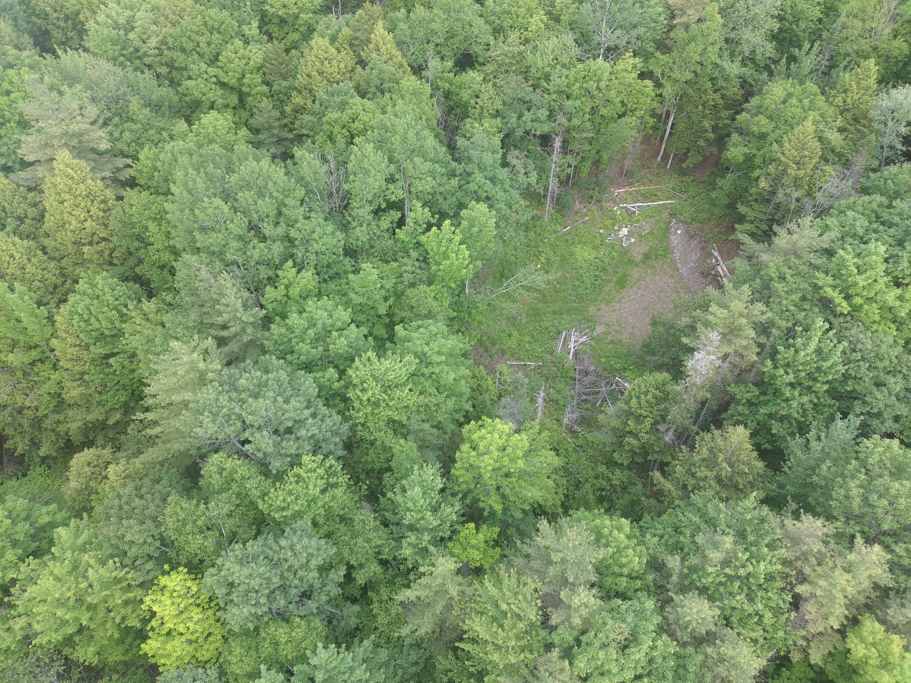 Tbd Marks Mountain Way Dedham ME 04429