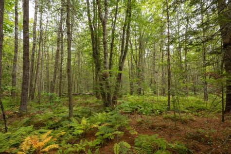 Part Of Map 7 Lot 48-a Nelson Ridge Road S Washington ME 04574