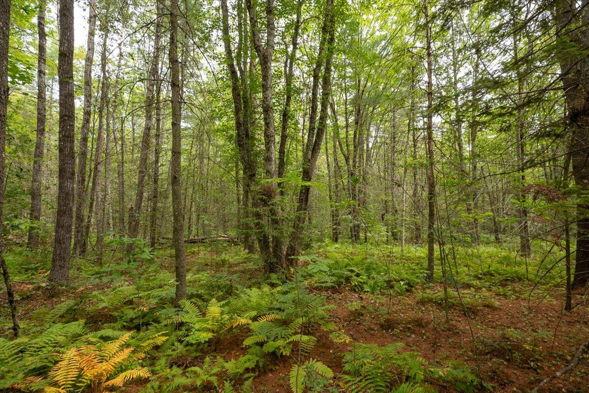 Part Of Map 7 Lot 48-a Nelson Ridge Road S Washington ME 04574