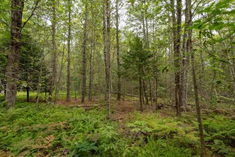 Part Of Map 7 Lot 48-a Nelson Ridge Road S Washington ME 04574