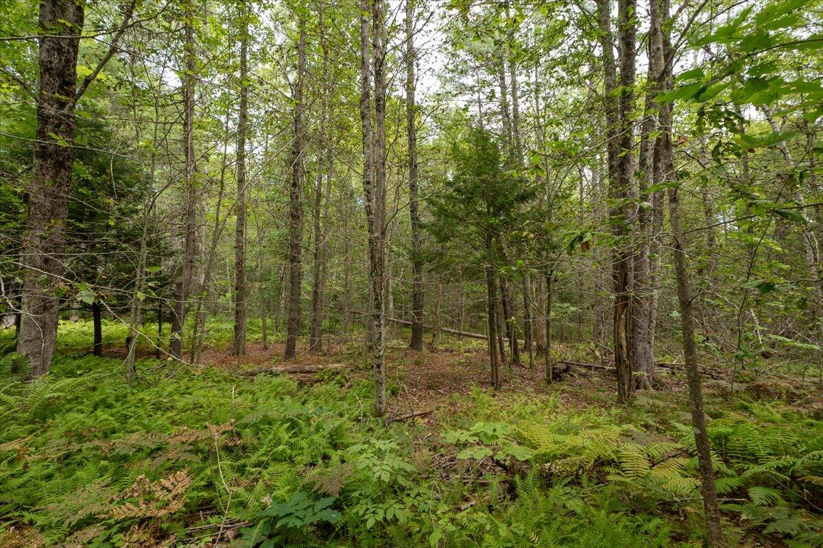 Part Of Map 7 Lot 48-a Nelson Ridge Road S Washington ME 04574