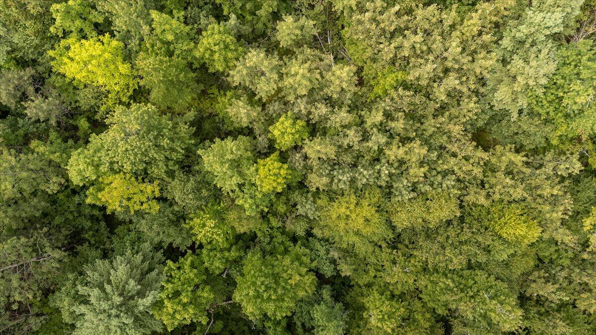 Part Of Map 7 Lot 48-a Nelson Ridge Road S Washington ME 04574