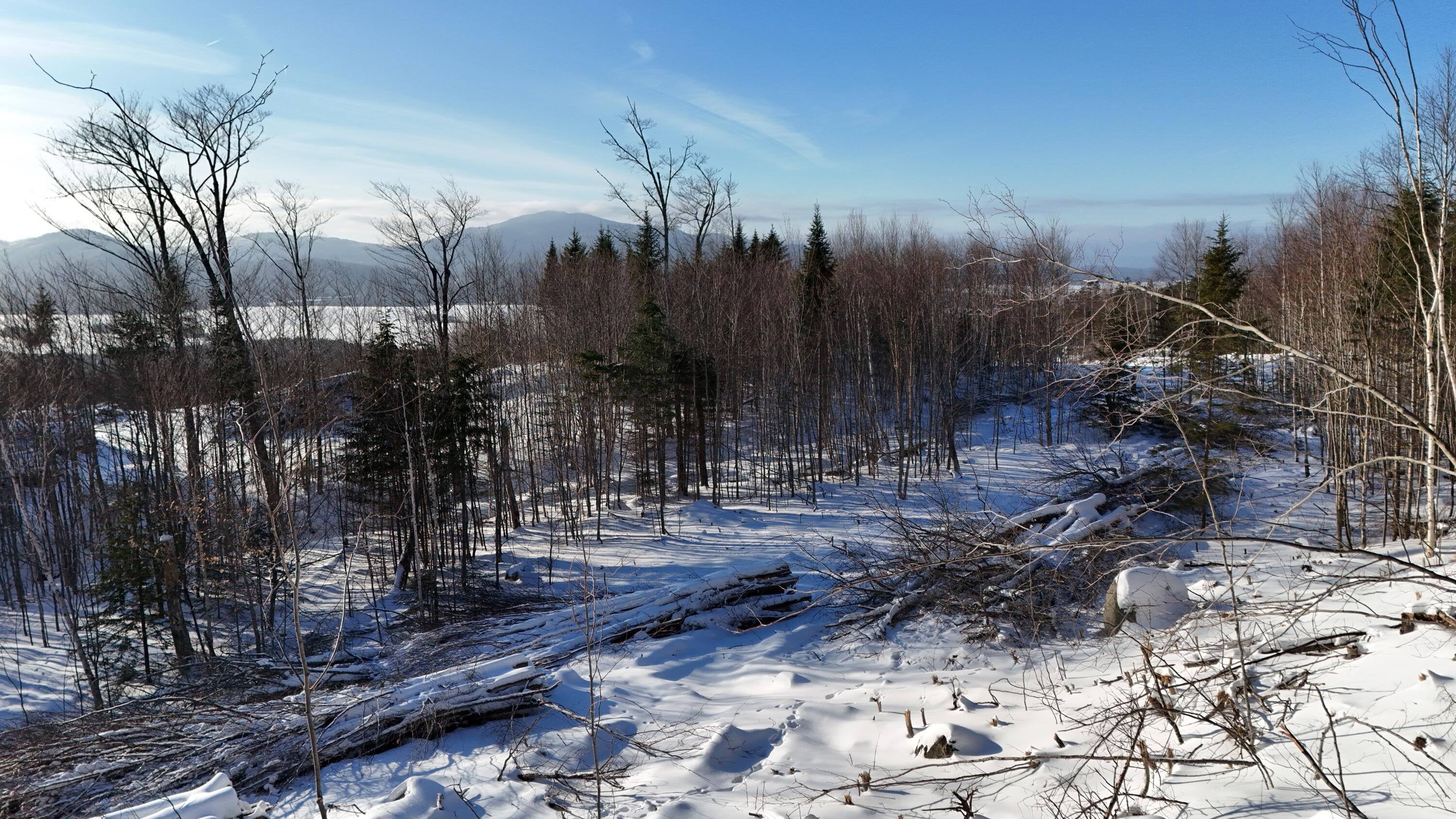 Lot 12 Blair Hill Road Greenville ME 04441