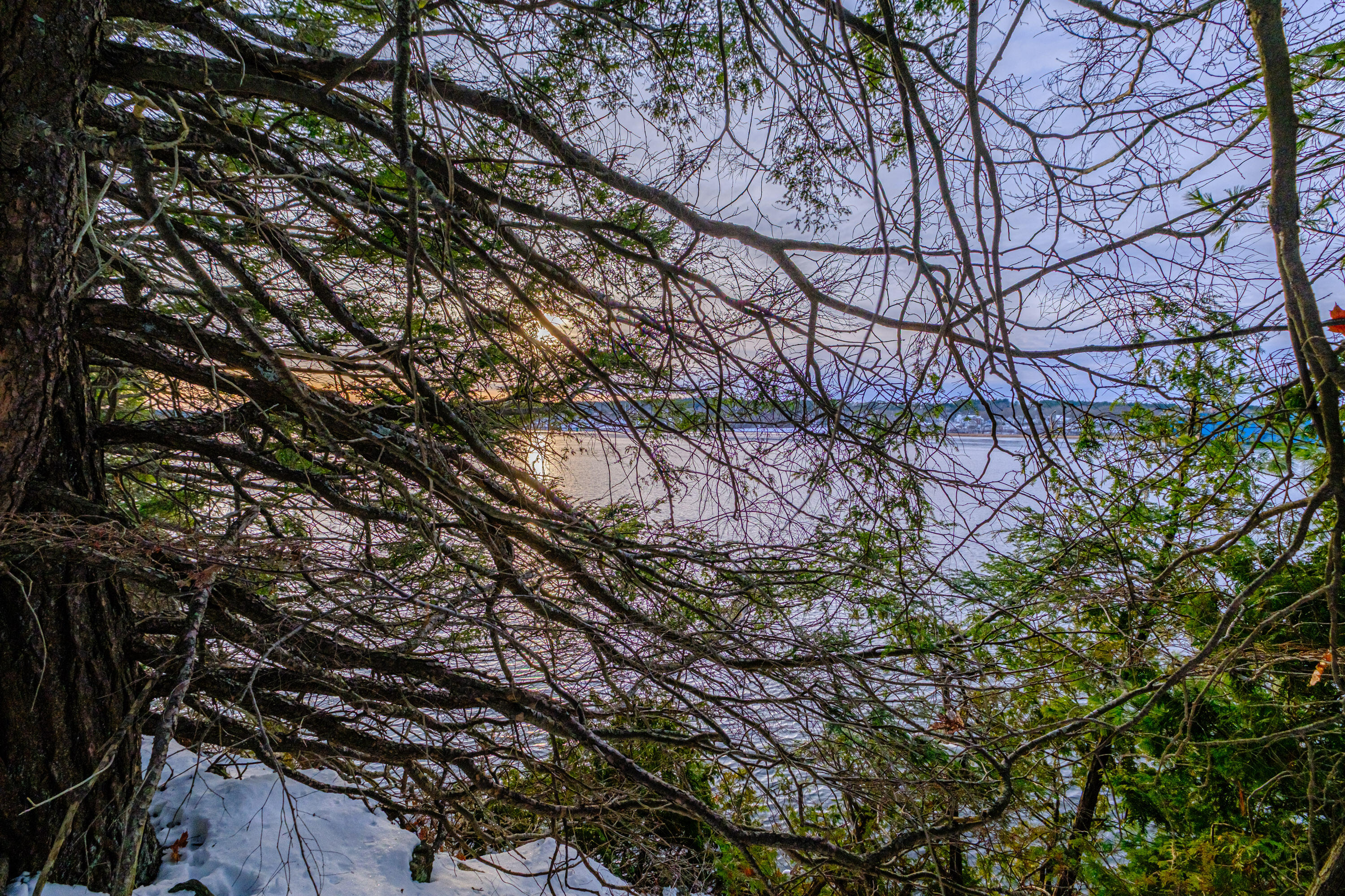 00 Field Road Arrowsic ME 04530