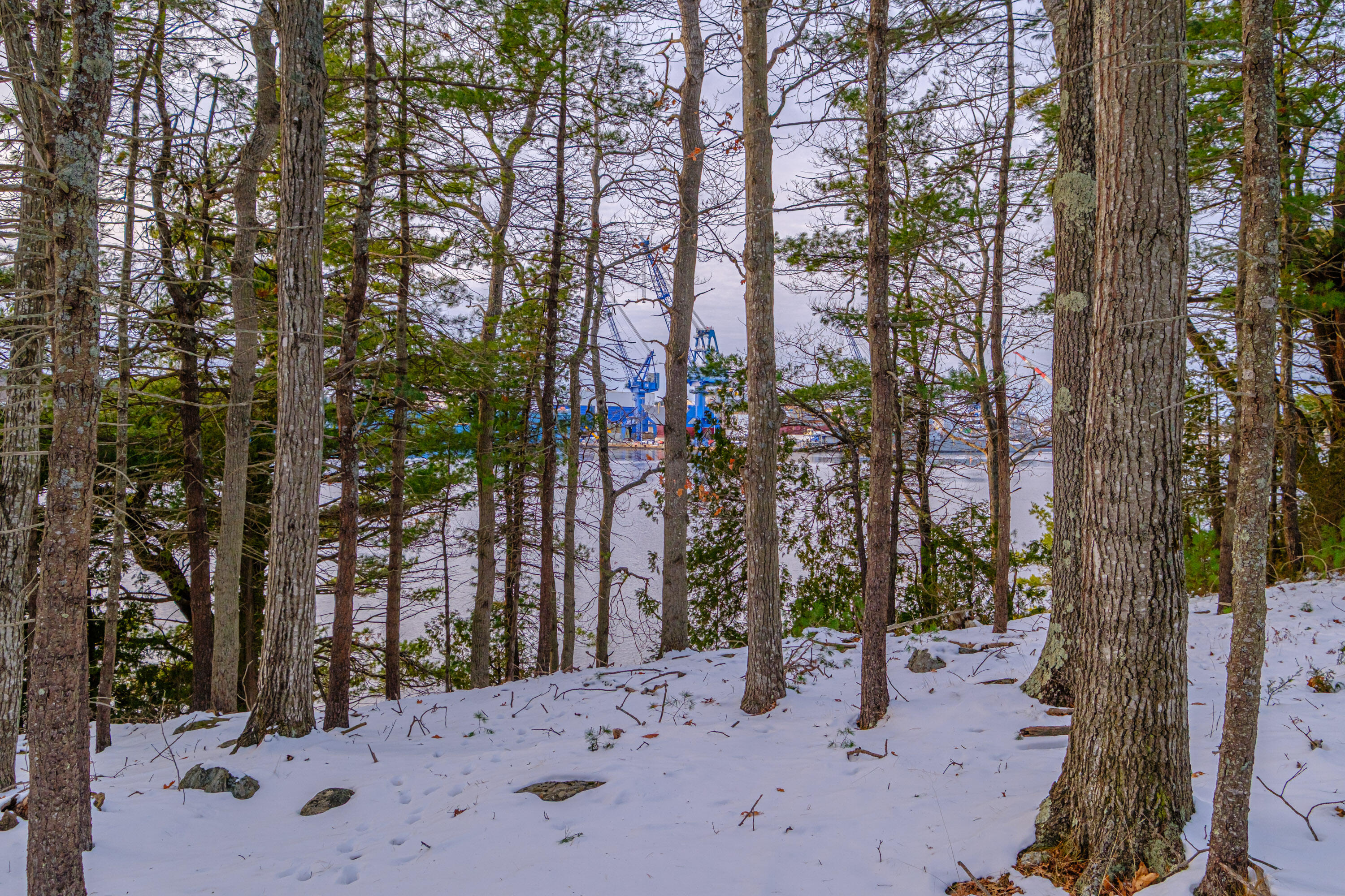 00 Field Road Arrowsic ME 04530