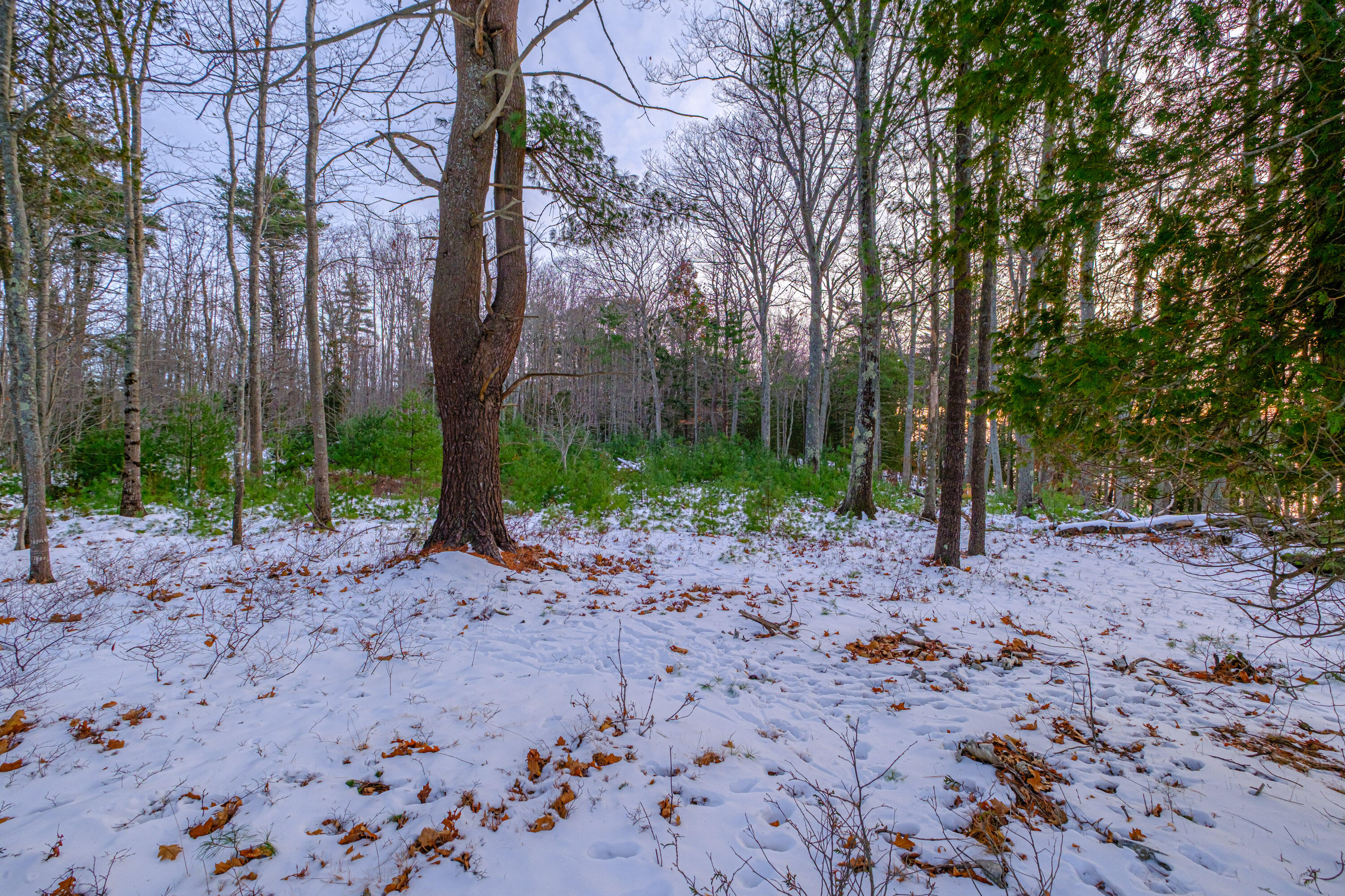 00 Field Road Arrowsic ME 04530