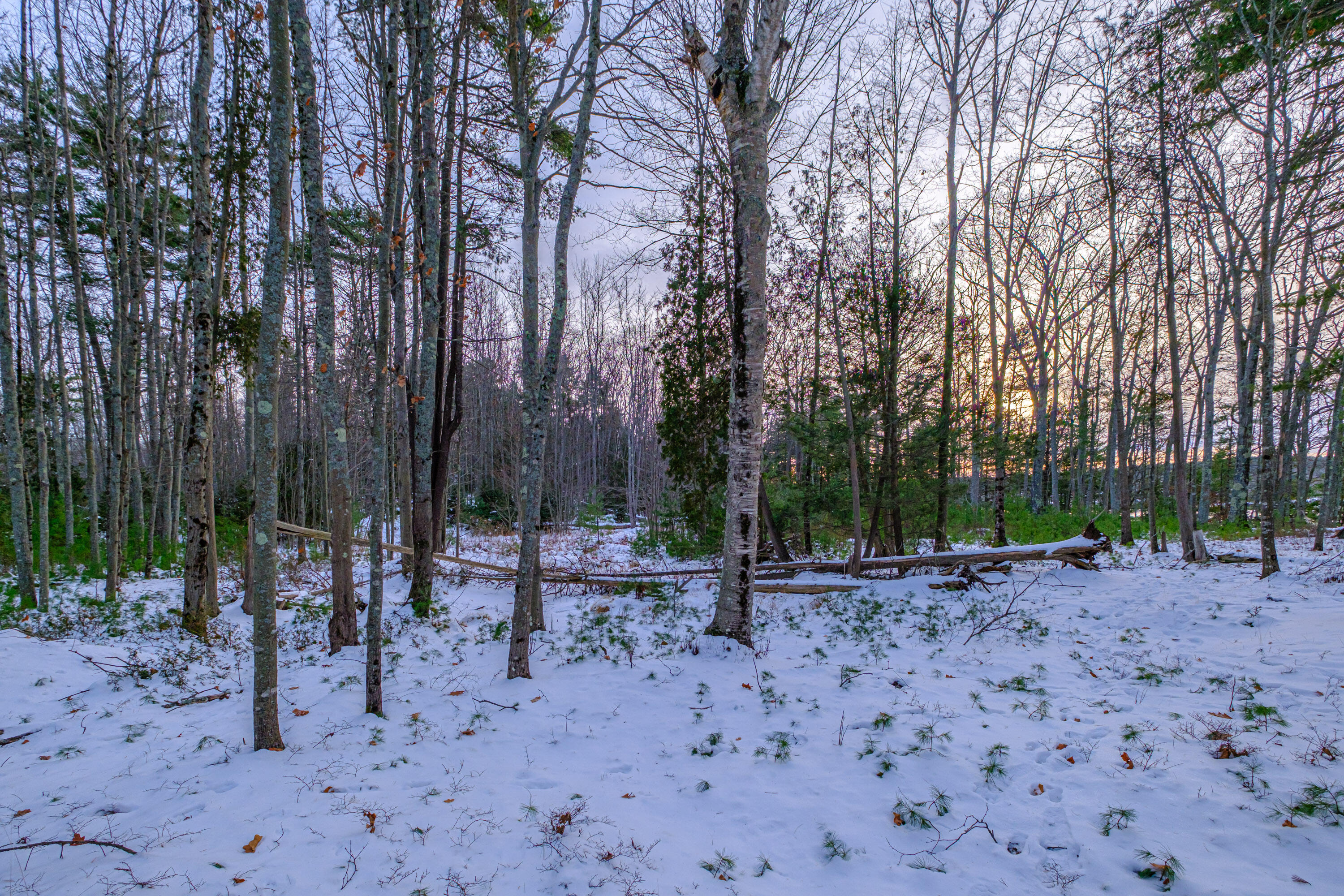 00 Field Road Arrowsic ME 04530