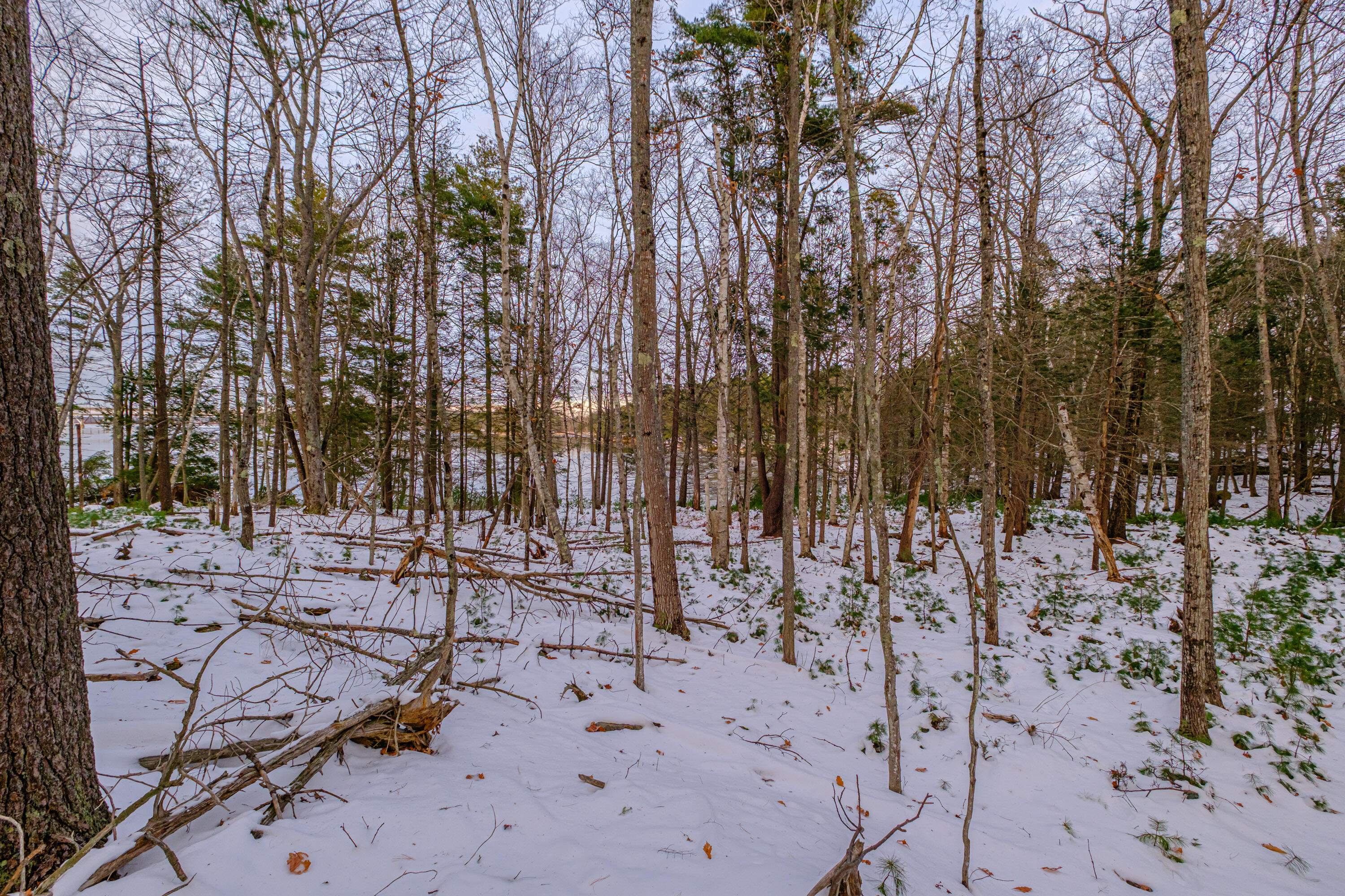 00 Field Road Arrowsic ME 04530