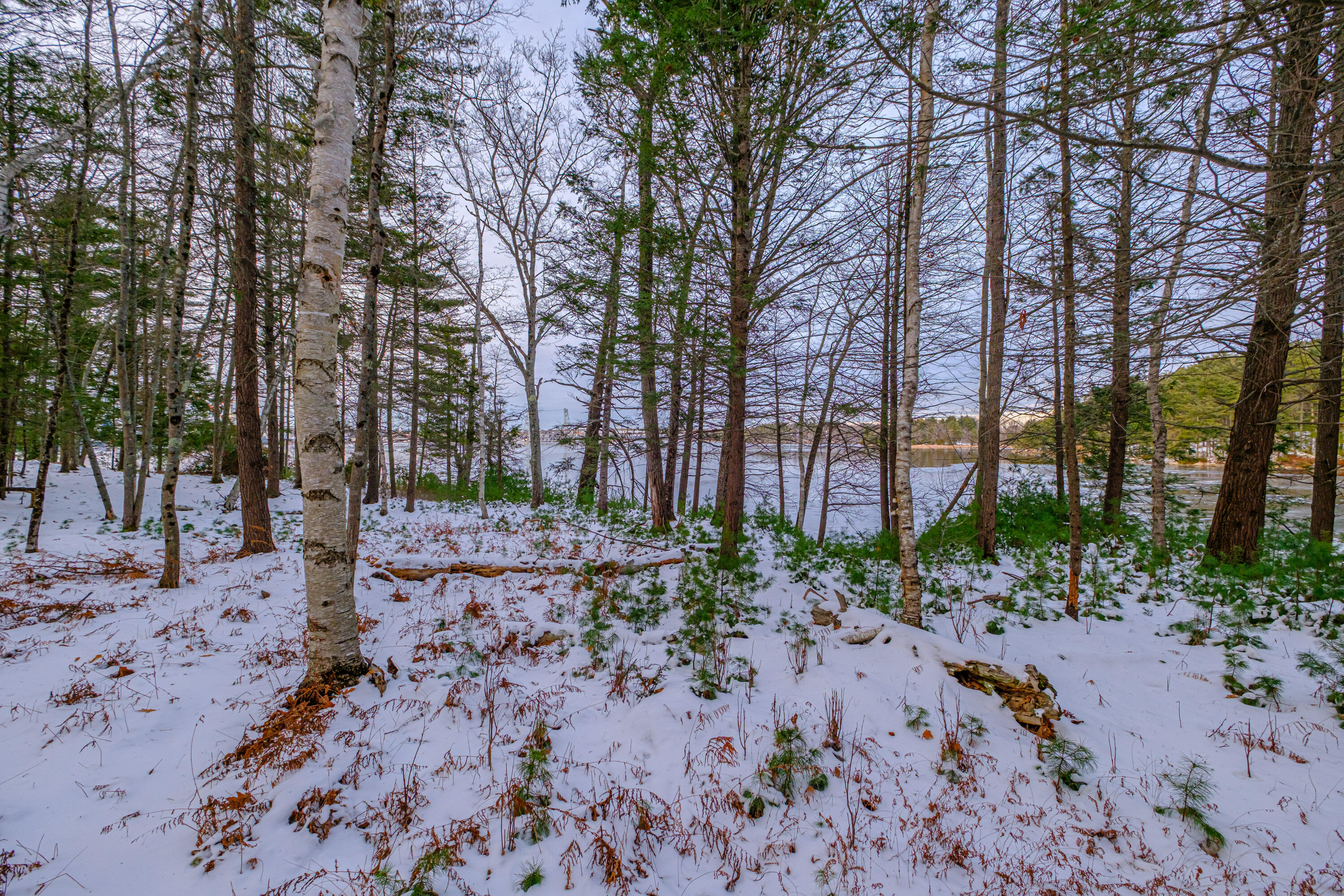 00 Field Road Arrowsic ME 04530