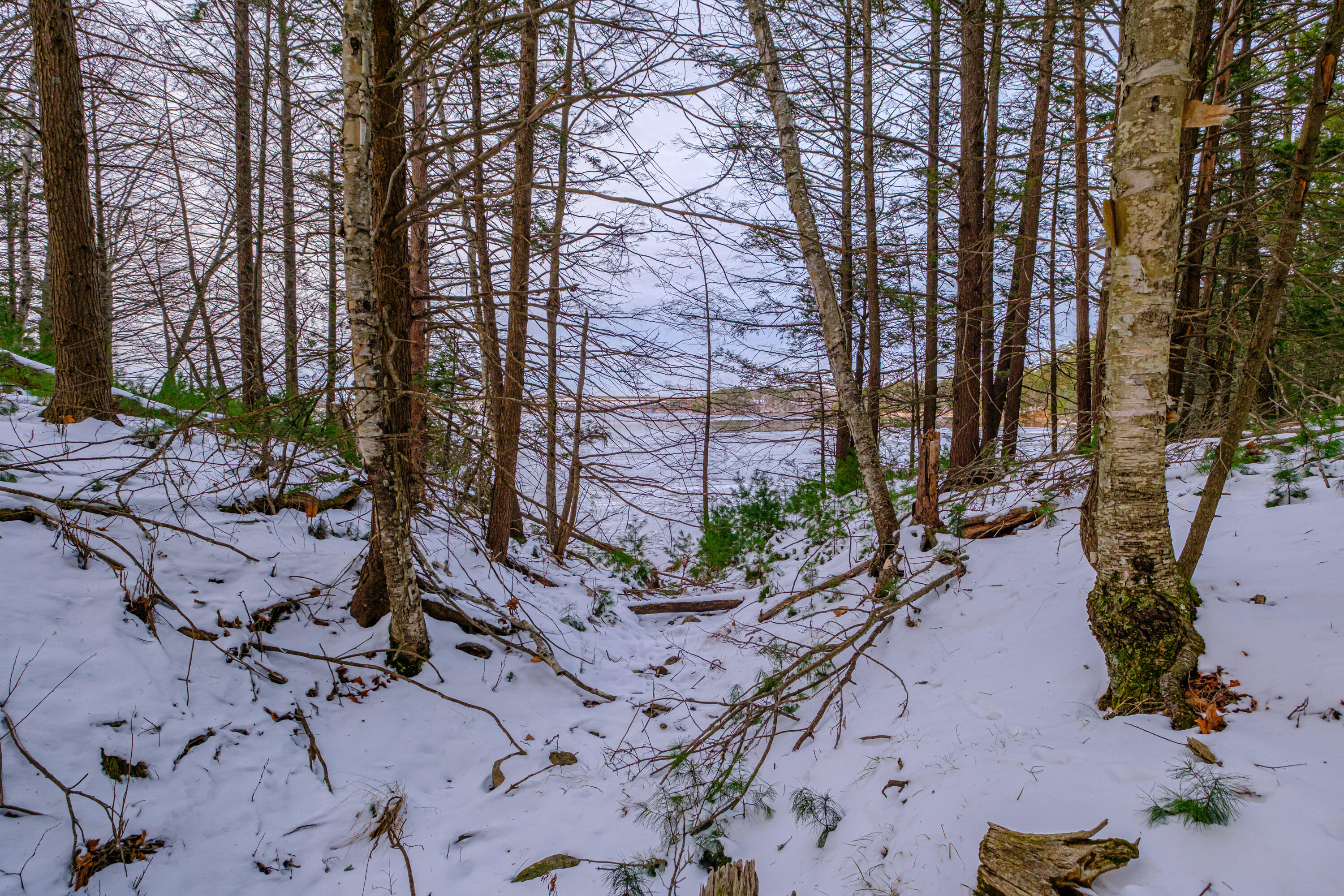 00 Field Road Arrowsic ME 04530