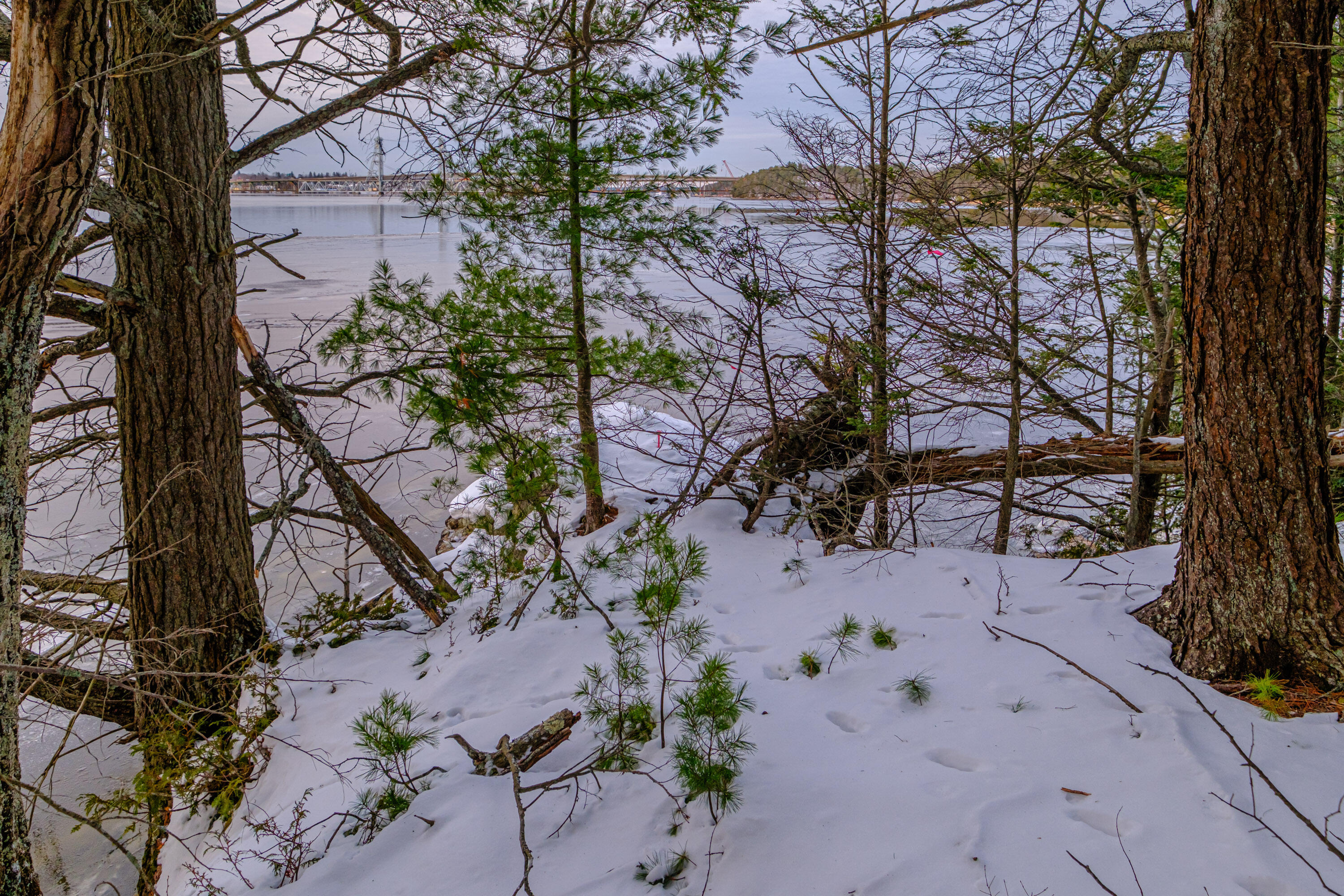 00 Field Road Arrowsic ME 04530