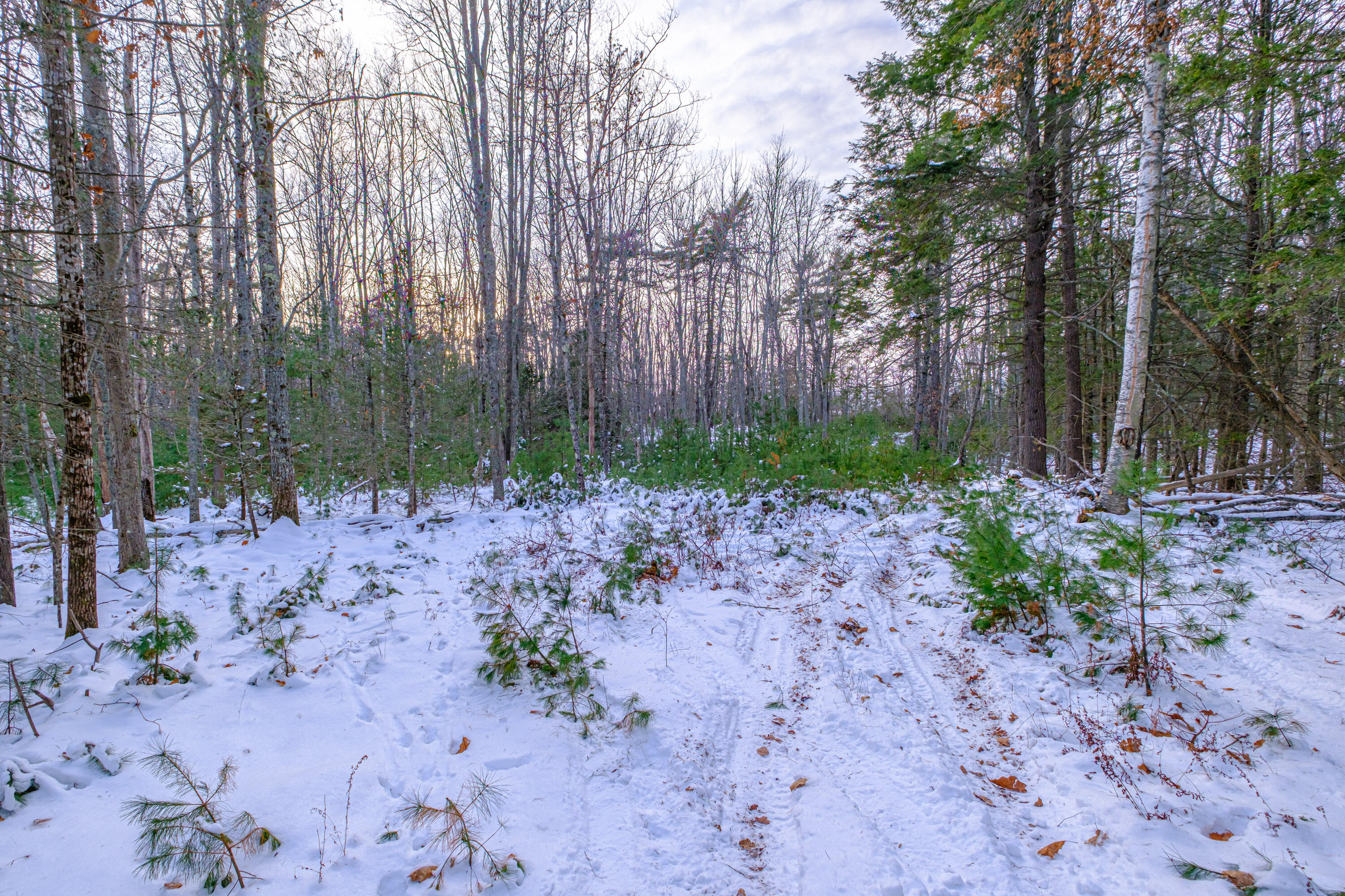 00 Field Road Arrowsic ME 04530