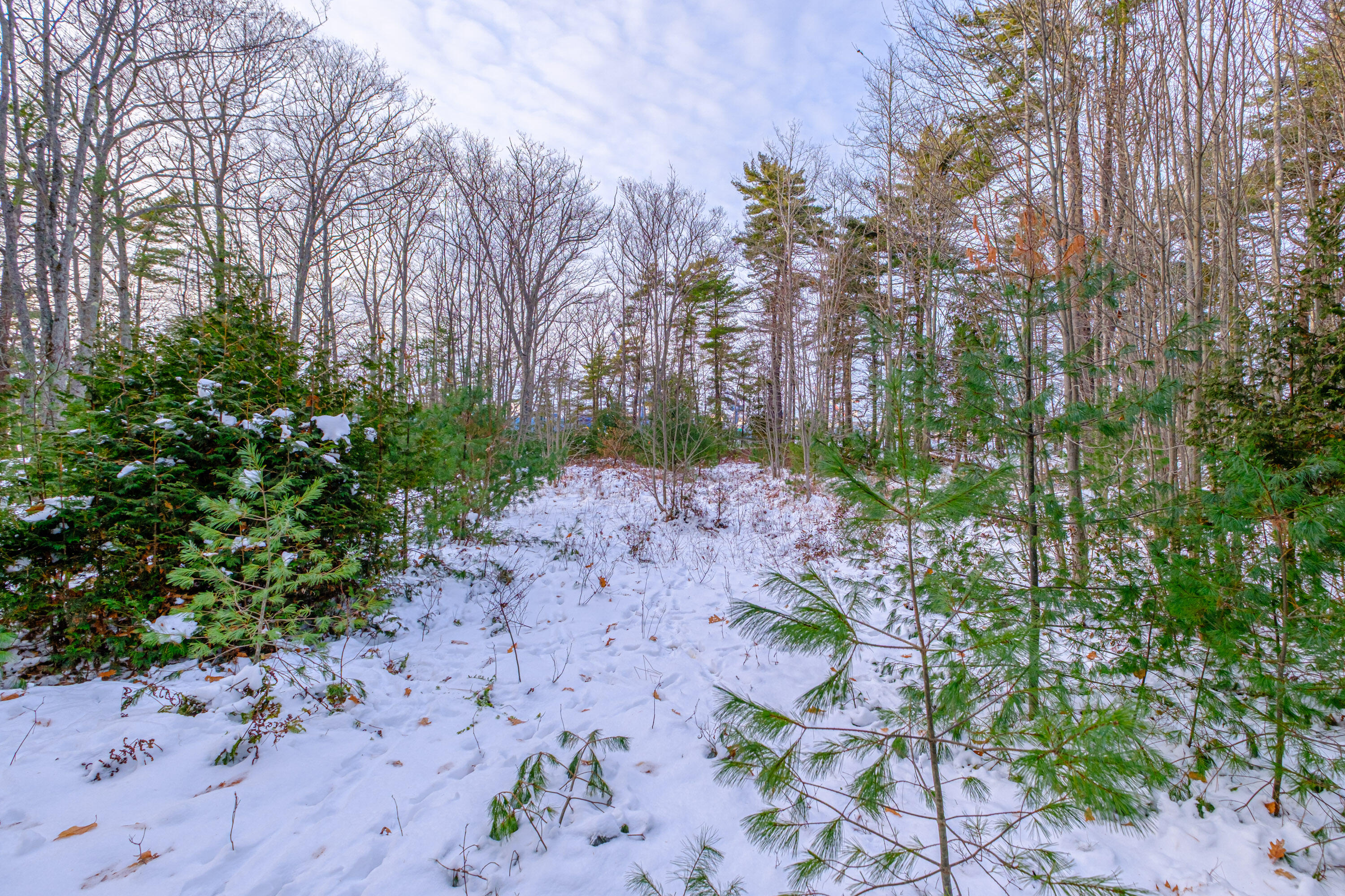 00 Field Road Arrowsic ME 04530