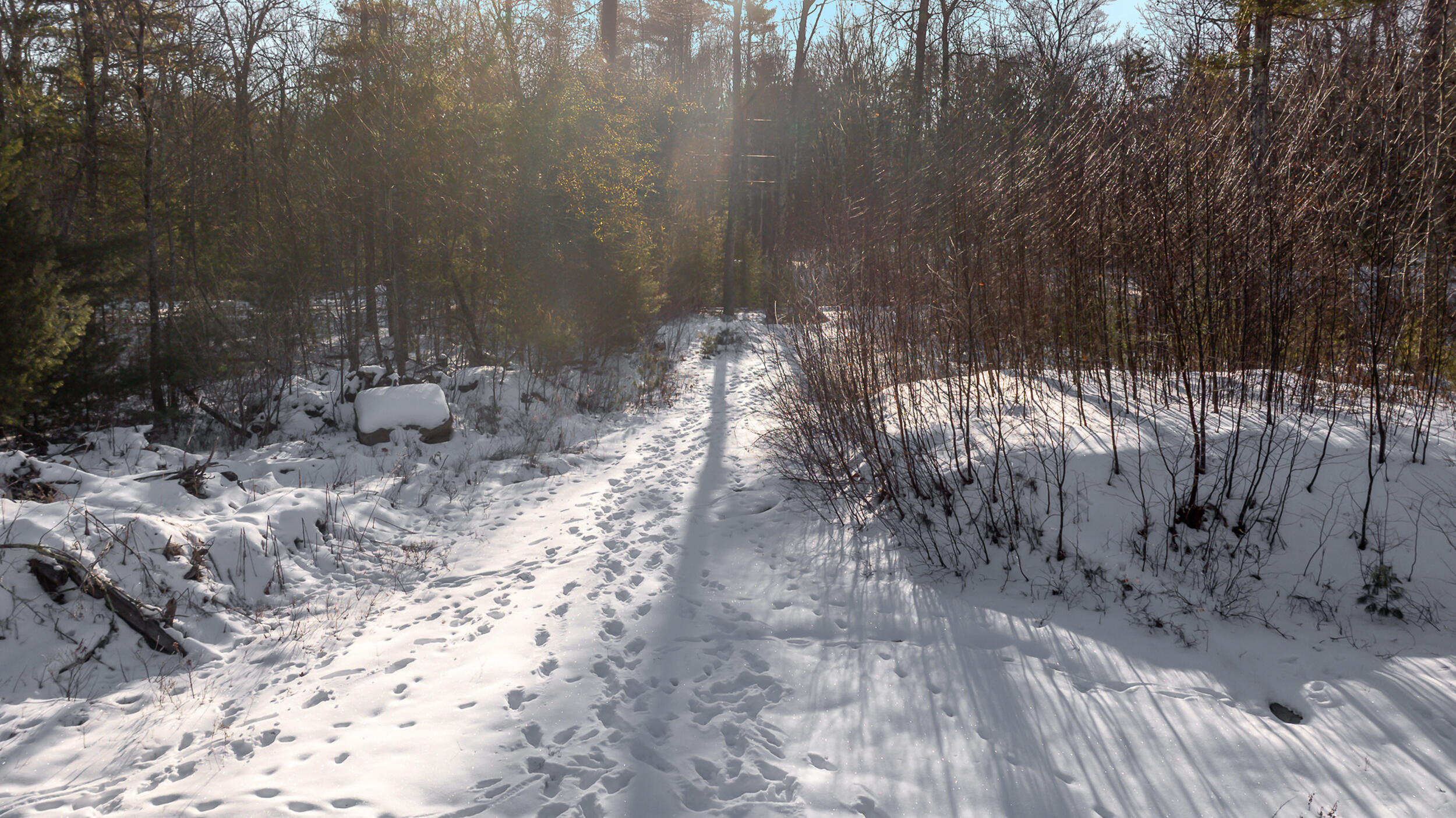 71-5 Bennett Lot Road South Berwick ME 03908