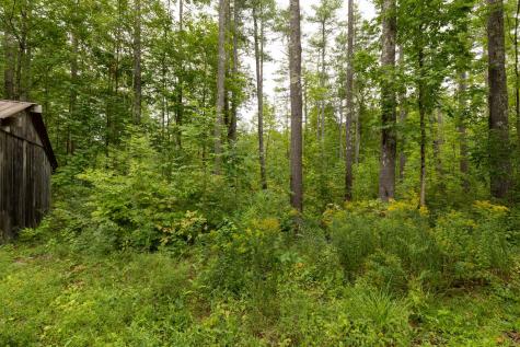 Lot #5 Adams Bridge Road North Berwick ME 03906